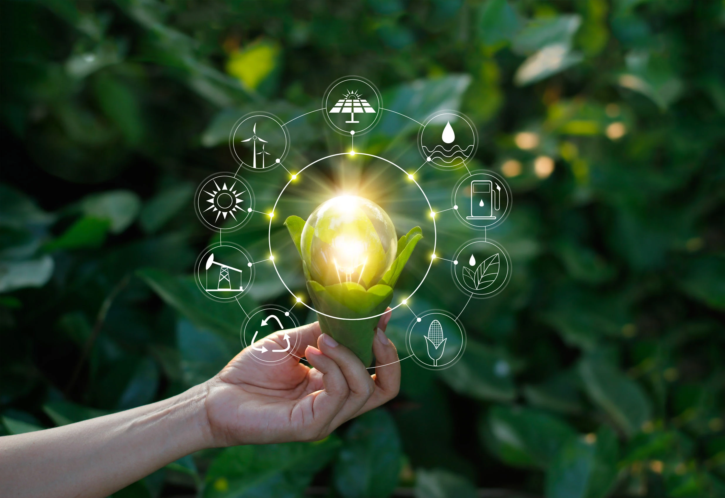 A person holds a plant with a light bulb in place of a flower bulb