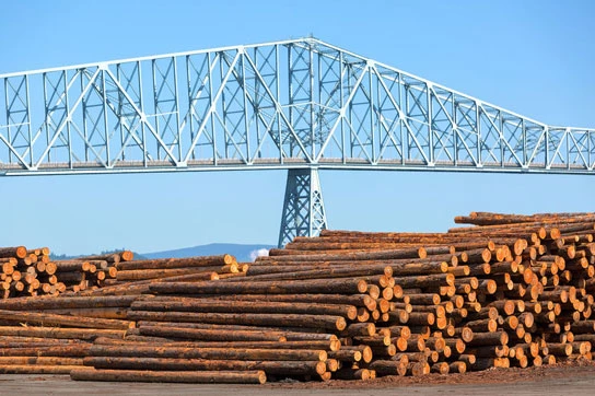Large stacks of timber logs sit in front of a bridge.